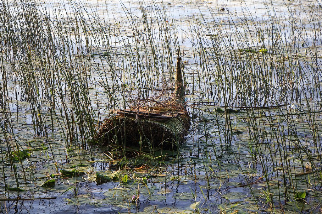 04-Papyrus boat in Lake Awasa.jpg - Papyrus boat in Lake Awasa